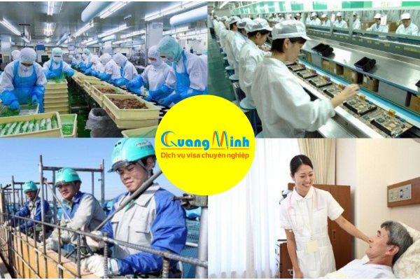  Những lý do khiến hồ sơ xin visa Đài Loan của bạn bị từ chối - quang minh visa
